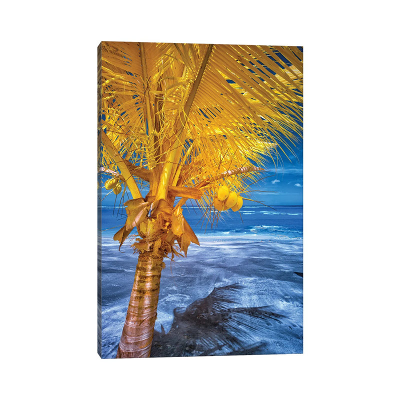 The Lizard On Tropical Palm Tree #1 by Glauco Meneghelli - Wrapped Canvas Print, 101.6 cm H x 66.04 cm W x 3.175 cm D