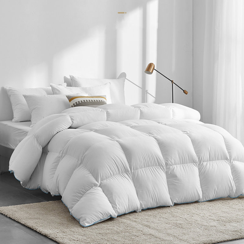 Heavyweight Down Comforter-Winter Warmth Feather Down Duvet Insert-850 Fill Power-Hotel Collection, King Comforter