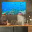 « colonie of maldives anemone fish », impression-29504834-34273198