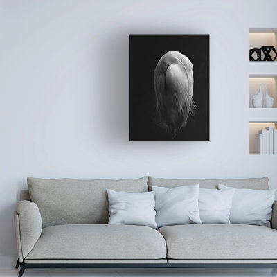 Stuart Williams  Resting Egret Canvas Art