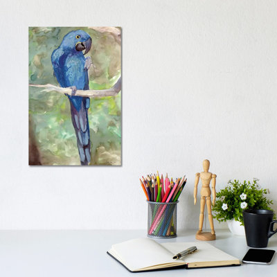 Blue Parrot II by Stellar Design Studio - Wrapped Canvas Gallery-Wrapped Canvas Giclée