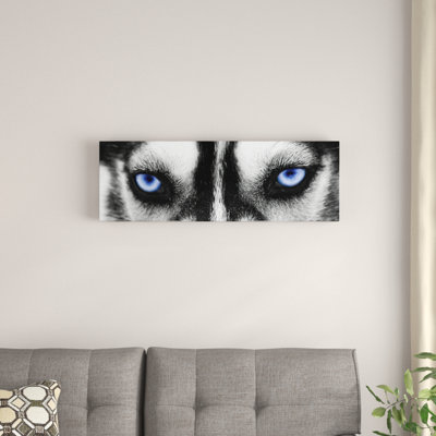 " Husky Eyes " by PhotoINC Studio