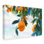 «Oranges Hanging» de Yareny, reproduction de photo sur toile tendue-30365610
