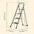 ladder