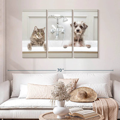 Bain de luxe pour animaux