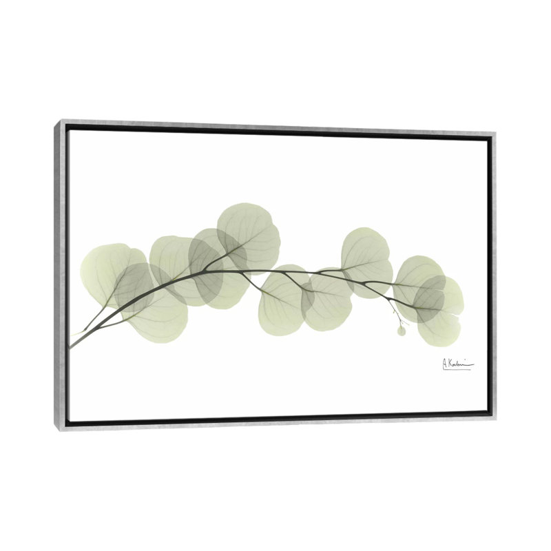 " Eucalyptus " by Albert Koetsier, 18" H x 26" W x 1.5" D, Silver Framed, No Mat