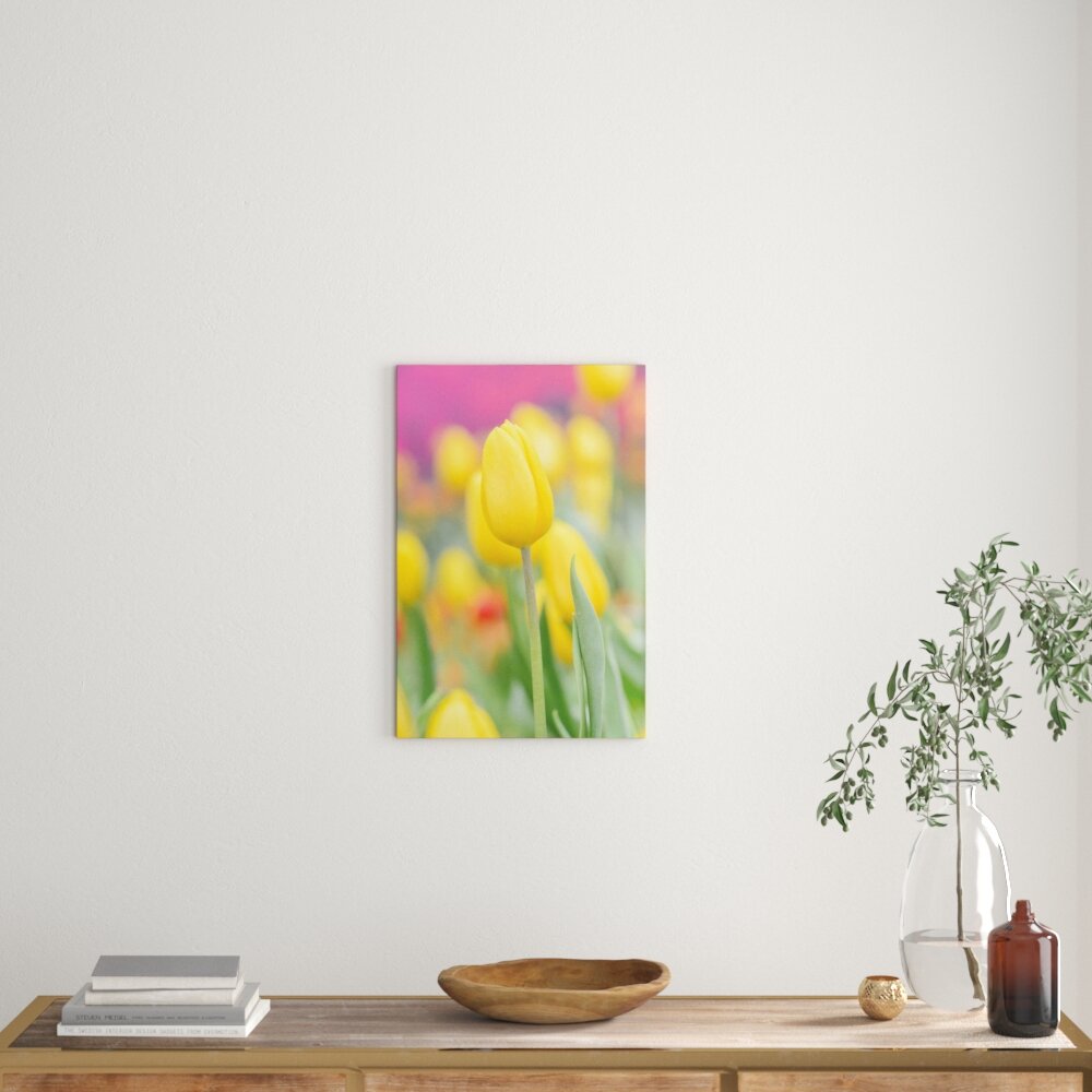 Leinwandbild Gelbe Tulpen im Frühling, Fotodruck