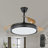 Aadvik 42" Retractable Ceiling Fan with LED Lights and Remote, 6-speed Reversible Fan-408065404-408065379