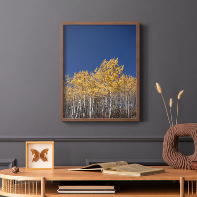 Amber in the Forest Framed Print - Solid Wood
