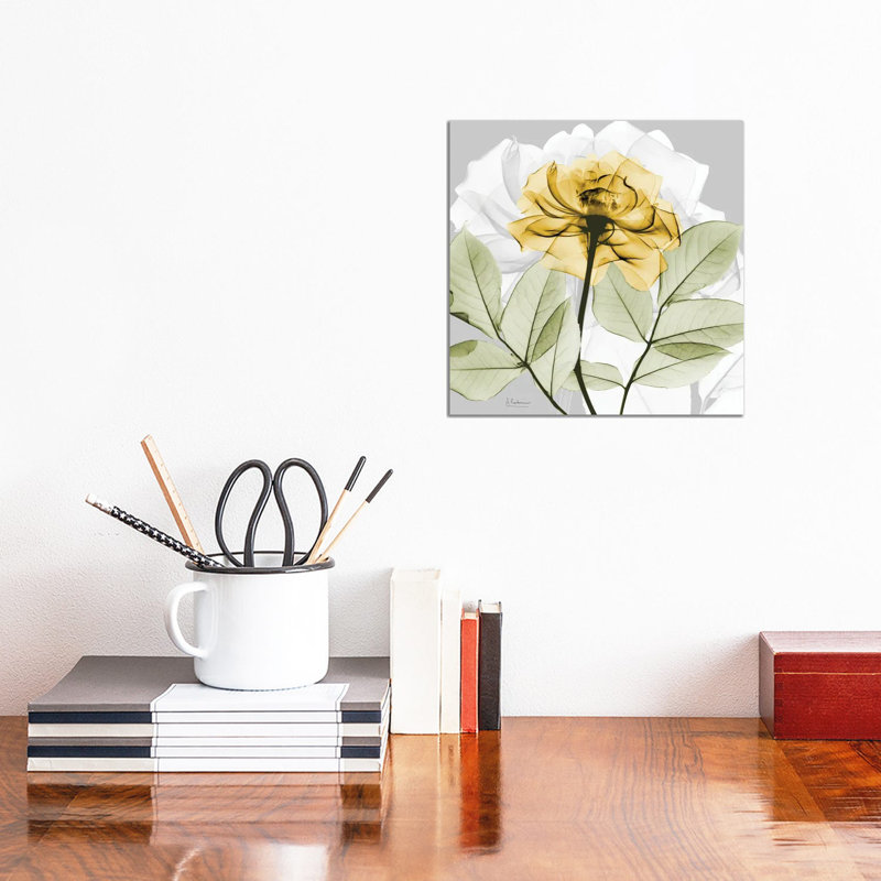 Rose In Gold III by Albert Koetsier - Wrapped Canvas Print, 30.48cm H x 30.48cm W x 1.91cm D