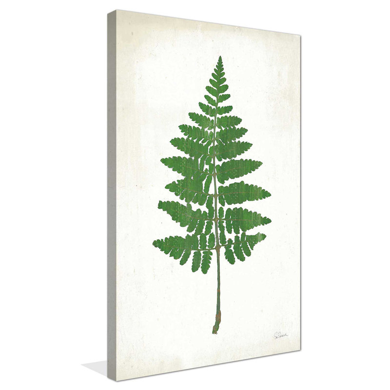 «Chalkboard Fern Green II» par Sue Schlabach - impression, Toile tendue, H 30 po x l 18 po x P 1 po