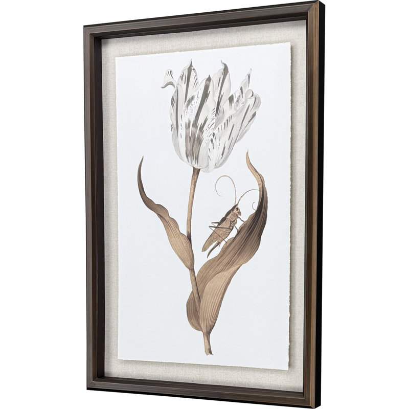 Gilded Tulip - Elegance Print by Marrel Paragon