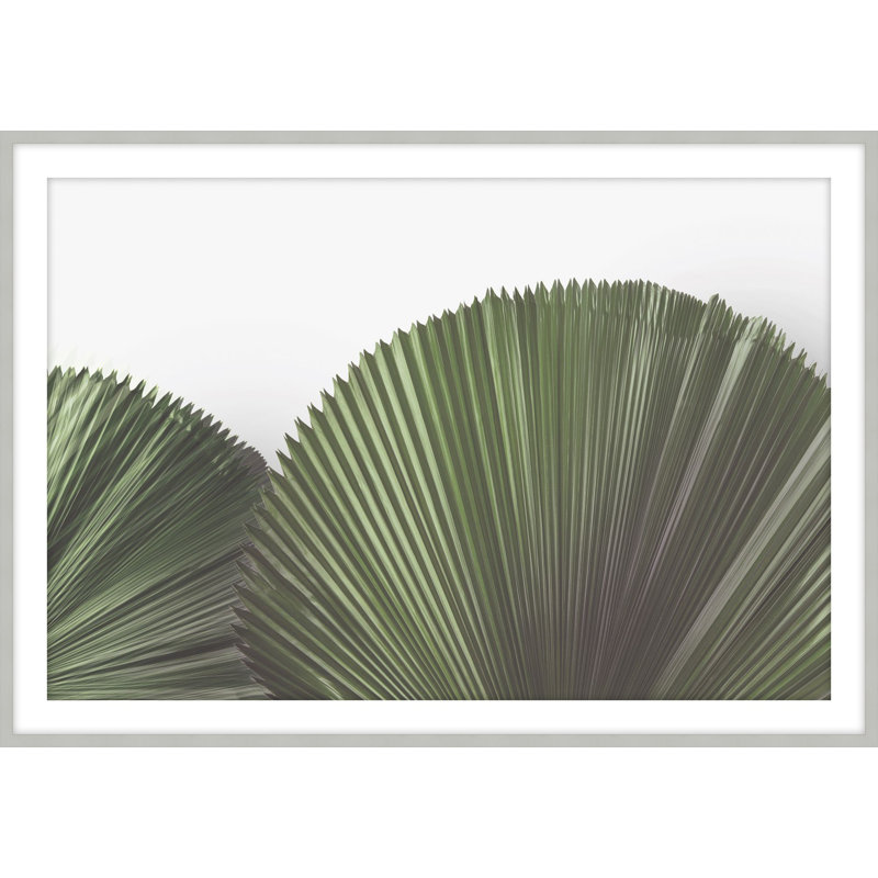 «Tropical Leaves», reproduction d'art encadrée, H 17,5 po x l 23,5 po