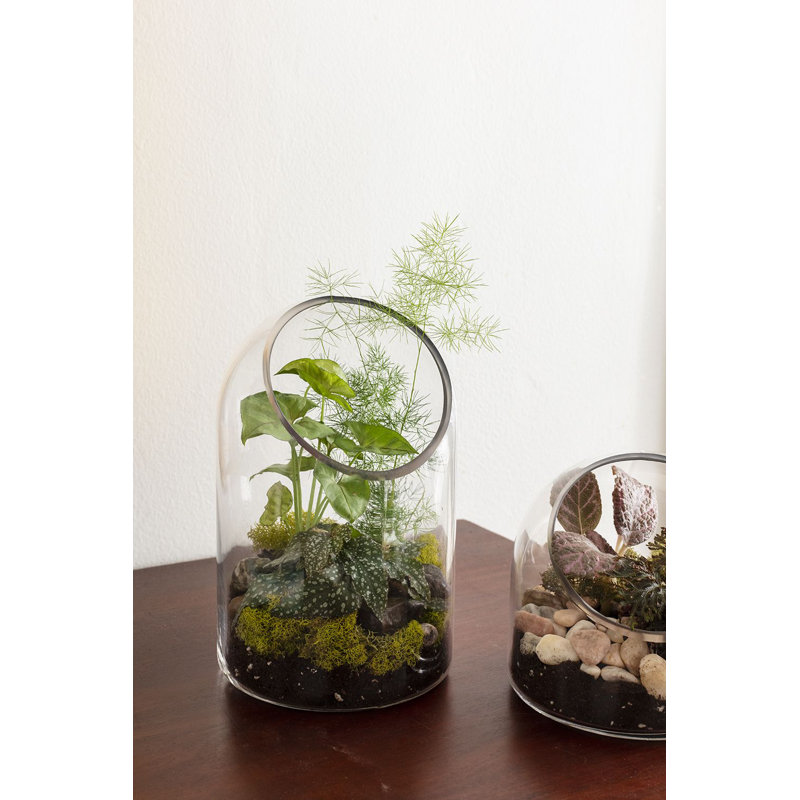 Glass Planter
