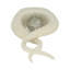 Décoration Swirl Design-97382827