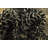 Julian Black Rug