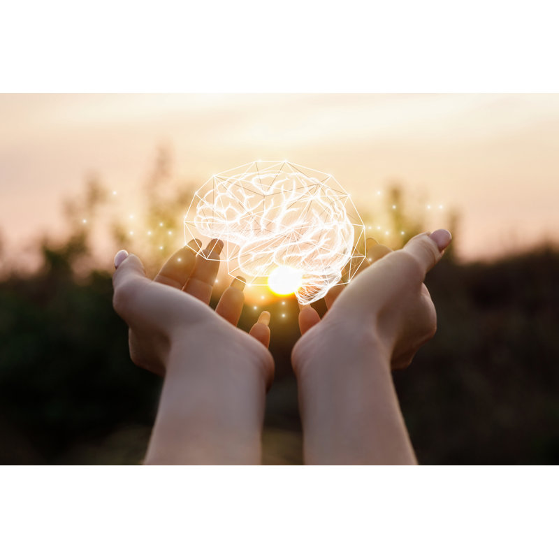 Female Hand Showing Brain - Wrapped Canvas Print, 30cm H x 46cm W x 3.8cm D