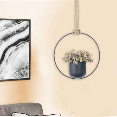 Ray Hanging Planter