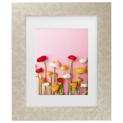 Incado Vibrant Ranunculus Matted Framed Art