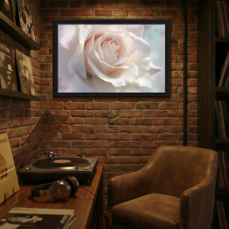 Plantes et fleurs, rose doux, gros plan, art floral, H 24 po x l 36 po