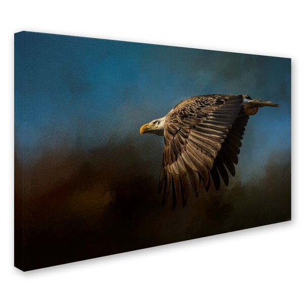 Trademark Art Jai Johnson Storm Chaser Bald Eagle On Canvas by Jai ...
