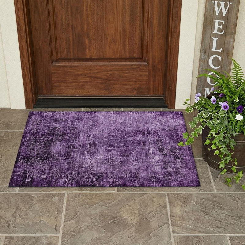 Tapis extérieur lavable et antidérapant 2 pi x 3 pi mauve