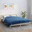 Lacey-Kay Blanket-22176797-22176798