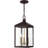 3 Light Outdoor Pendant Lantern with Clear Glass Shade-101230942-101230941