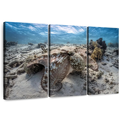Brampt Stealthy Octopus