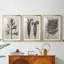 Blossfeldt Botanical I - reproduction sur mesure encadrée de qualité supérieure - 3 pièces-127340677-127340672