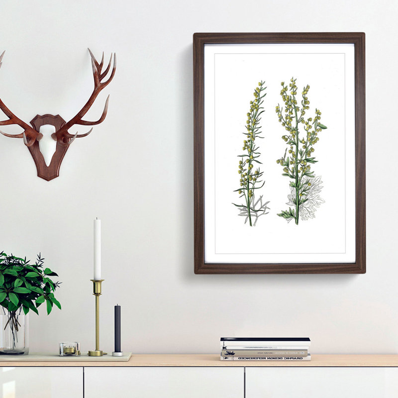 Mugwort Flowers Illustration - Picture Frame Painting Print, Walnut Framed, 48cm H x 36cm W x 2cm D