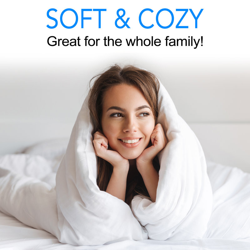 All Season Microfiber Down Alternative Comforter, Twin / Twin XL