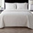 Caroline Embossed Floral Quilt Set-904663226-904663221