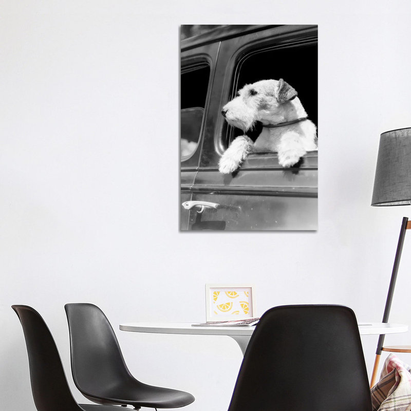 Profile Portrait Of Wire Fox Terrier Dog Looking Out Of Automobile Window - Wrapped Canvas Print