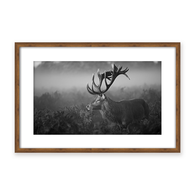 Nature Inspired Sunny Morning by  - Picture Frame Photograph on Paper, 16" H x 24" W x 2.375" D, Framed Canvas, White
