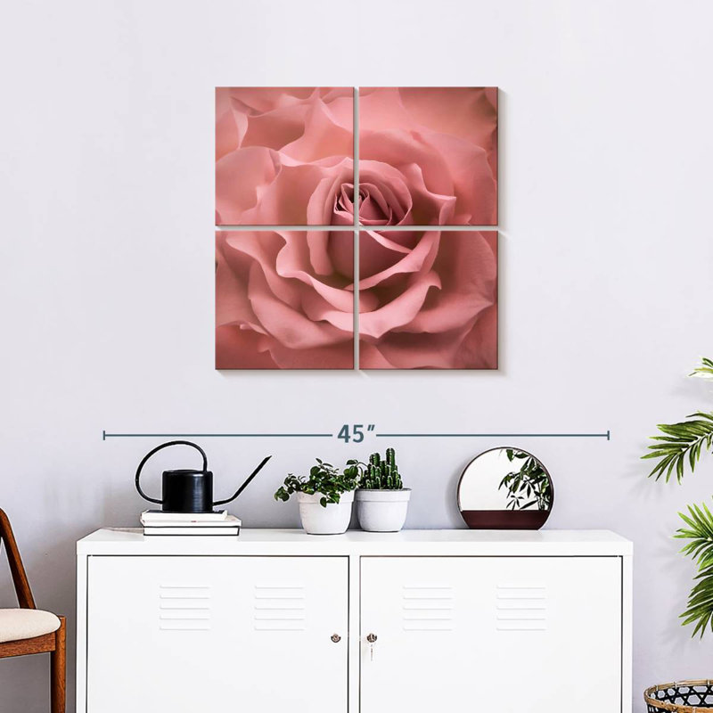Rose brumeux Harnek, H 26 po x l 26 po