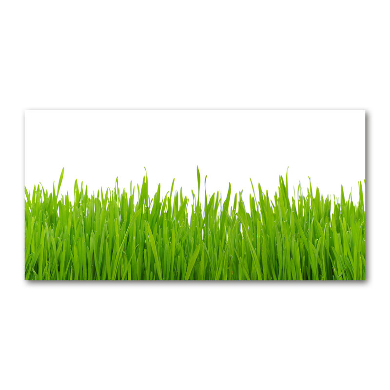 Grass - No Frame Print on Glass, Glass, 70cm H x 100cm W x 2cm D