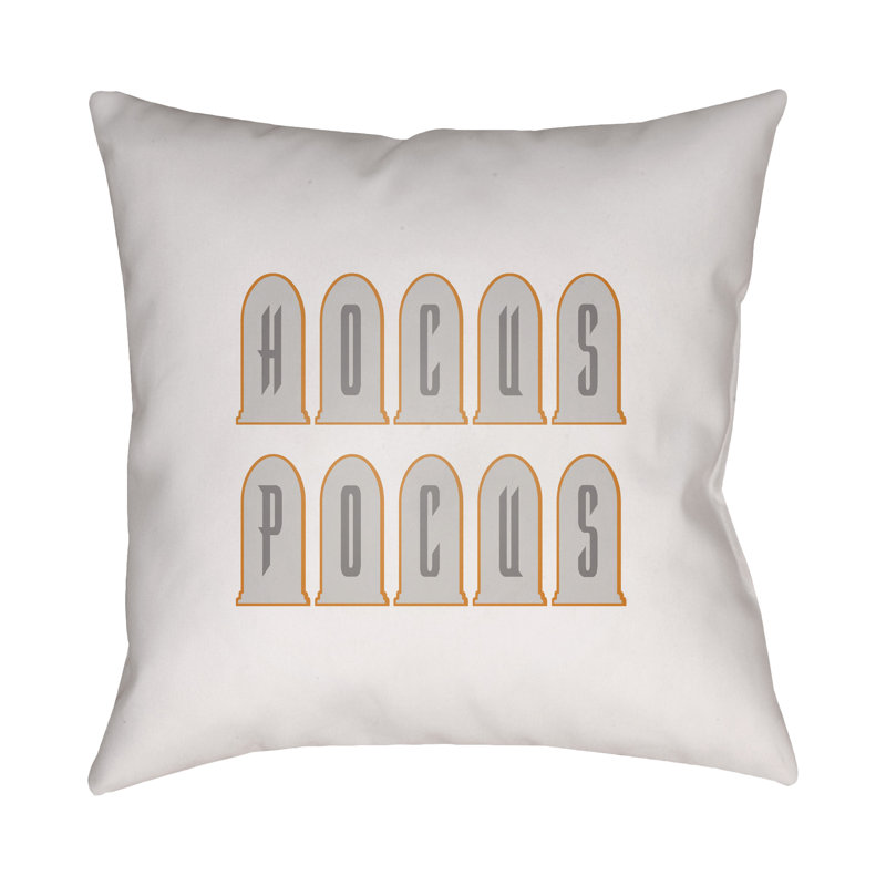  Indoor/Outdoor Throw Pillow, White, 20" H x 20" W x 4" D