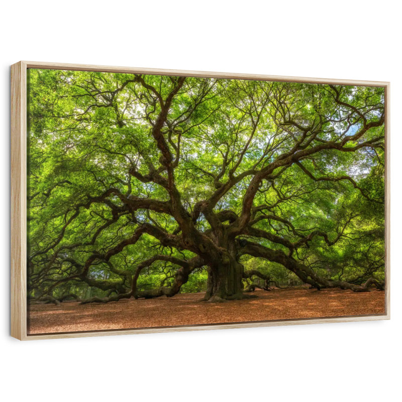 Oak, Floating Frame Natural Wood, 43" X 29"