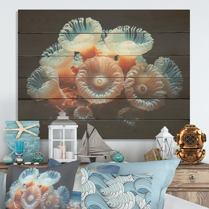 Balanophyllia S, corail coloré, art mural bois de corail sous l'eau sur bois de pin naturel, H 10 po x l 20 po