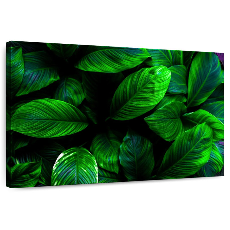 Harnek plantes vertes, H 34 po x l 51 po