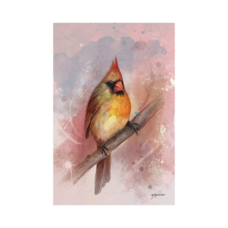 Female Cardinal by Steve Goad - Wrapped Canvas Print, 20.32 cm H x 30.48 cm W