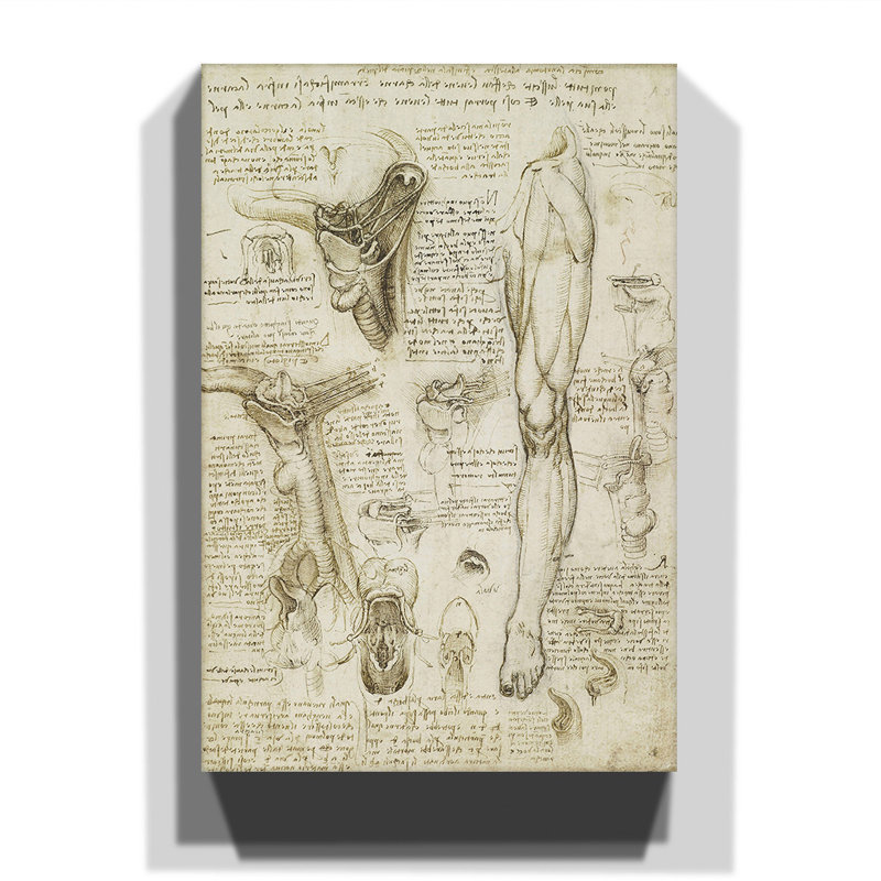 Leonardo Da Vinci - Wrapped Canvas Painting, 76cm H x 50cm W