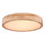 Perdomo Plastic LED Flush Mount-1794619479