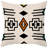 Abstract Velvet Pillow Cover