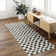 Caiah Checkered Indoor Rug