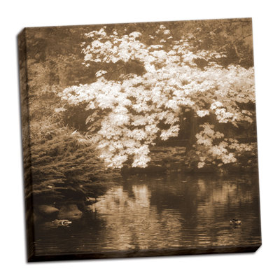 « automne réflexions i sépia », reproduction de photo sur toile tendue