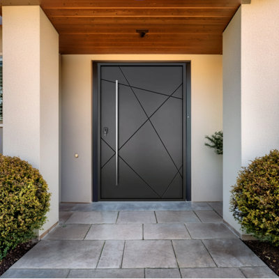Caliber Modern Iron Pivot Door