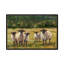 Babsy Sheep Family I - Painting-1599097633-1599097636