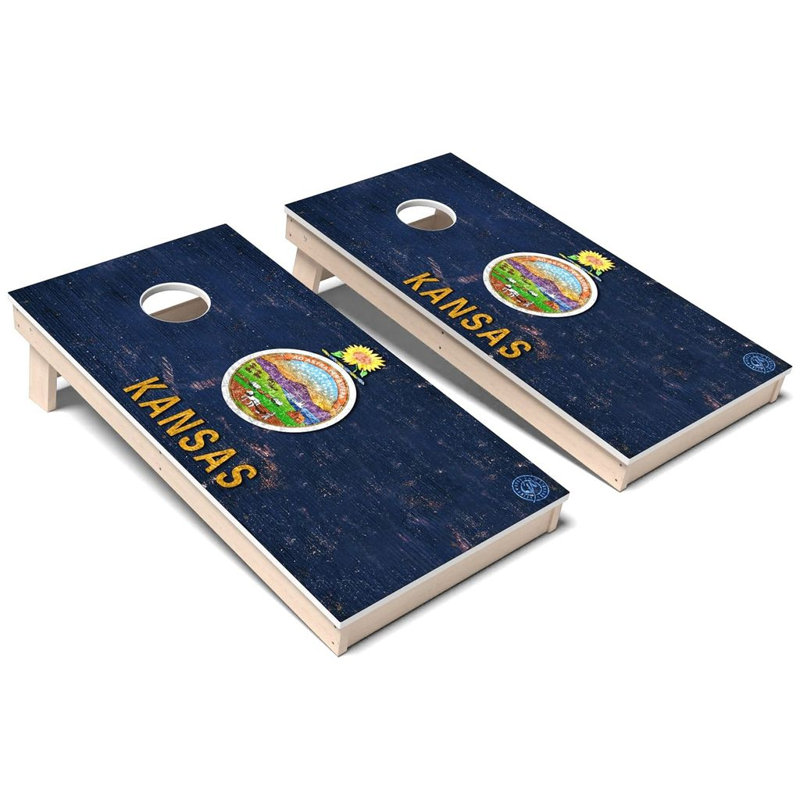Ensemble de planches de cornhole en polychromie 4 pièces, Ajouter un étui de transport